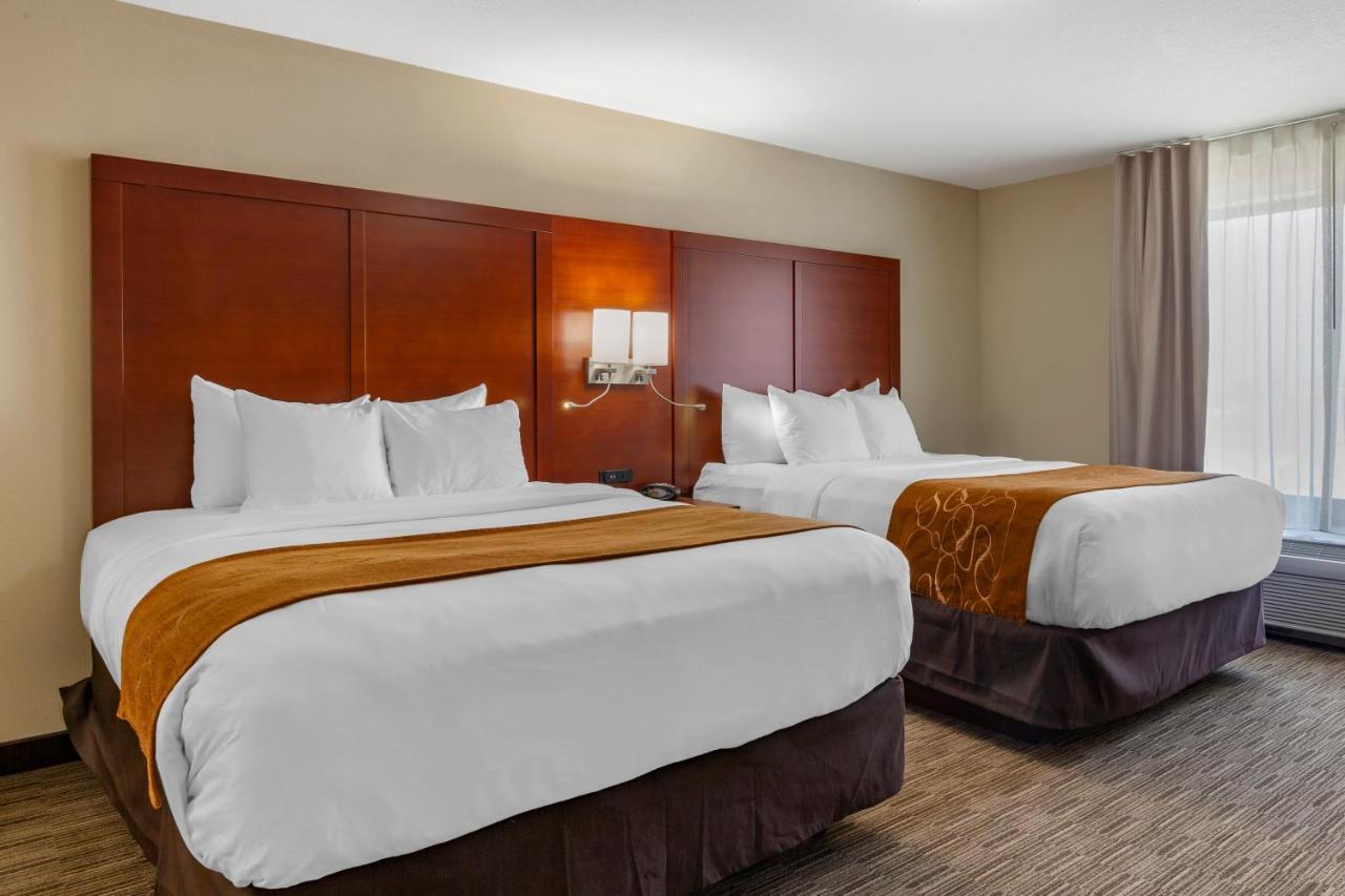Comfort Suites Oshkosh Rum bild